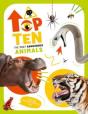 The Top Ten: Most Lethal Animals - Preview