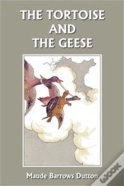 Capa do artigo The Tortoise And The Geese And Other Fab