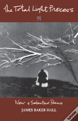 Capa do artigo The Total Light Process