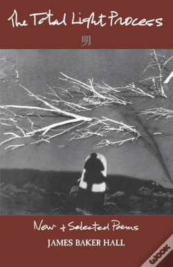 Capa do artigo The Total Light Process