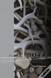 Capa do artigo The Trailhead