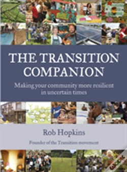 Capa do artigo The Transition Companion