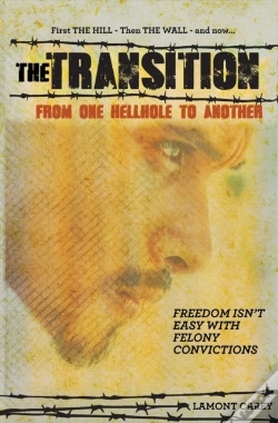 Capa do artigo The Transition