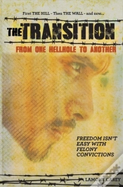 Capa do artigo The Transition