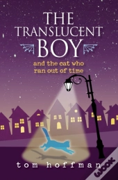 The Translucent Boy And The Cat Who Ran Out Of Time