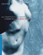 The Transparent Body - Preview
