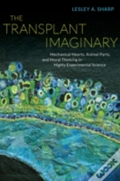 Capa do artigo The Transplant Imaginary