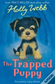 Capa do artigo The Trapped Puppy