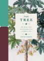 The Tree - Preview