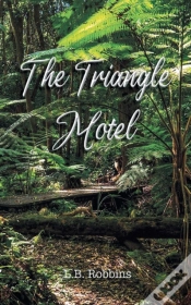Capa do artigo The Triangle Motel