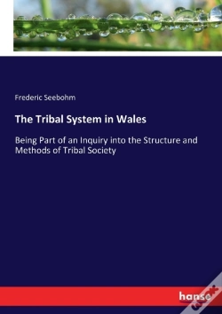 Capa do artigo The Tribal System In Wales