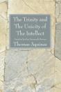 The Trinity And The Unicity Of The Intellect - Preview