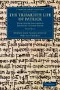 The Tripartite Life Of Patrick - Preview