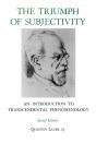 The Triumph Of Subjectivity - Preview