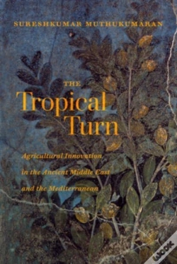 Capa do artigo The Tropical Turn
