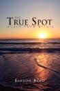 The True Spot - Preview