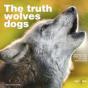 The Truth About Wolves And Dogs - Preview