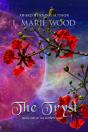 The Tryst - Preview