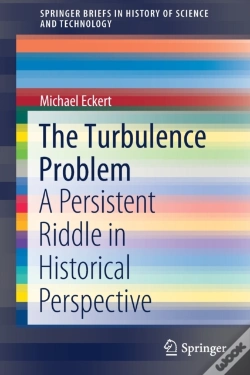 Capa do artigo The Turbulence Problem