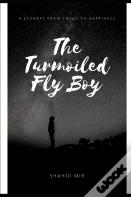 The Turmoiled Fly Boy