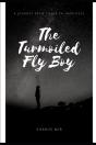 The Turmoiled Fly Boy - Preview