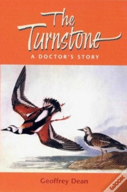 Capa do artigo The Turnstone