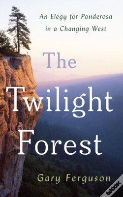 Capa do artigo The Twilight Forest