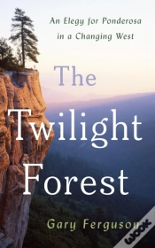 Capa do artigo The Twilight Forest