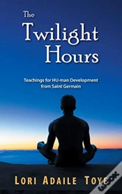 Capa do artigo The Twilight Hours