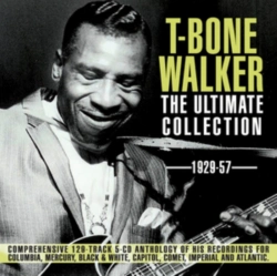 Capa do artigo The Ultimate Collection - CD
