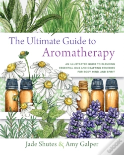 Capa do artigo The Ultimate Guide To Aromatherapy