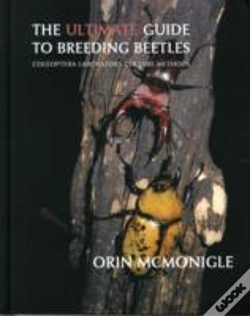 Capa do artigo The Ultimate Guide To Breeding Beetles