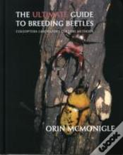 The Ultimate Guide To Breeding Beetles