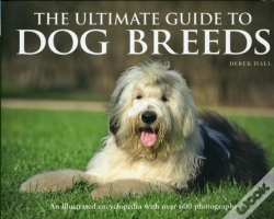 Capa do artigo The Ultimate Guide To Dog Breeds