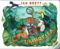 Capa do artigo The Umbrella