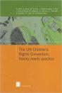 The Un Children'S Rights Convention: Theory Meets Practice - Preview