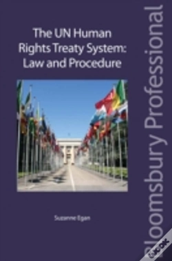 Capa do artigo The Un Human Rights Treaty System