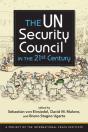 The Un Security Council In The 21st Century - Preview