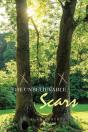 The Unbelievable Scars - Preview