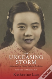 Capa do artigo The Unceasing Storm