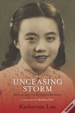 Capa do artigo The Unceasing Storm