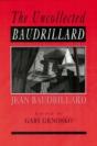 The Uncollected Baudrillard - Preview
