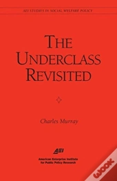 The Underclass Revisited