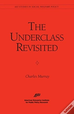 Capa do artigo The Underclass Revisited