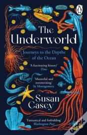 Capa do artigo The Underworld