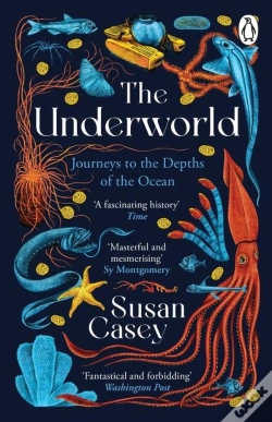 Capa do artigo The Underworld