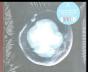The Undivided Five - CD - Preview