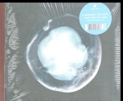 Capa do artigo The Undivided Five - CD