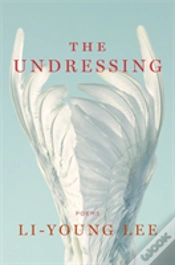 Capa do artigo The Undressing