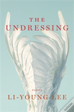 Capa do artigo The Undressing